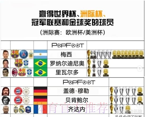 世界杯球队名单哪里看